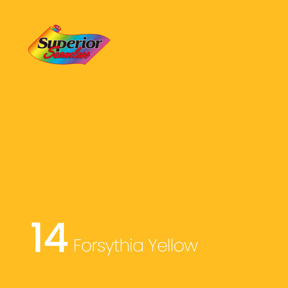 Superior 14 Forsythia Yellow